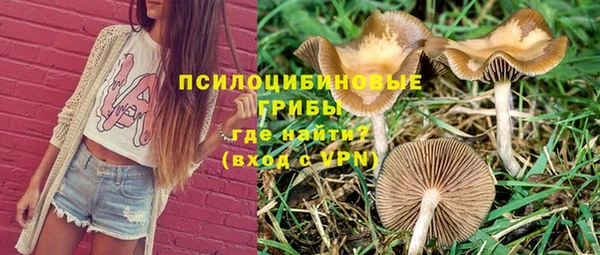 спиды Волосово