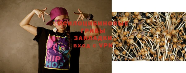 спиды Волосово